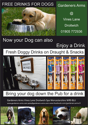 Party Hire Halls Venues Pubs restaurants pub food places to eat M5 pub grub cocktails real ale bars wine bars kids play gardens wedding venues canal pubs party hire birthday parties halls old pubs gin bars cider houses Droitwich Worcester Birmingham Bromsgrove